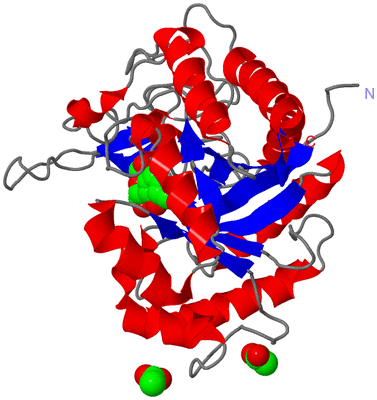 Image Asym./Biol. Unit