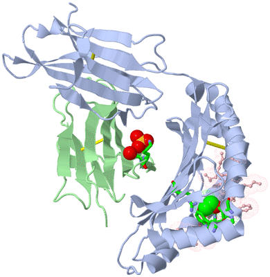 Image Asym./Biol. Unit - sites