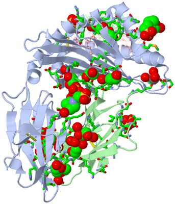 Image Biol. Unit 1 - sites