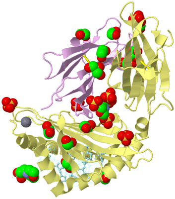 Image Biological Unit 2