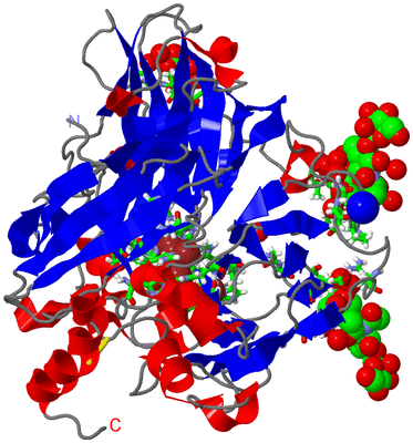 Image Asym./Biol. Unit - sites