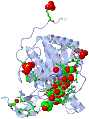 Image Biol. Unit 1 - sites