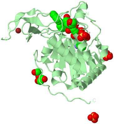 Image Biological Unit 2