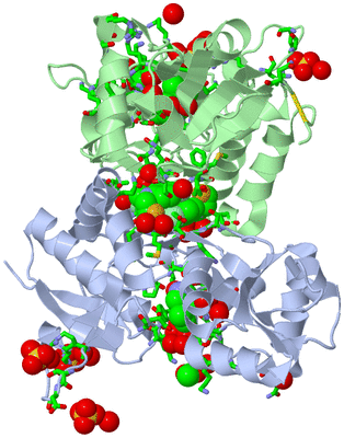 Image Asym./Biol. Unit - sites