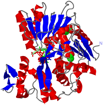 Image Asym./Biol. Unit