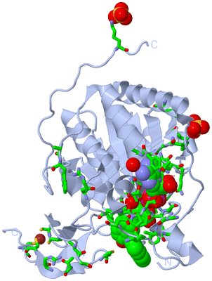 Image Biol. Unit 1 - sites