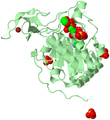 Image Biological Unit 2