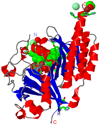 Image Asym. Unit - sites