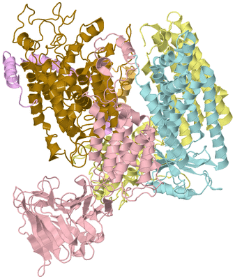 Image Asym./Biol. Unit