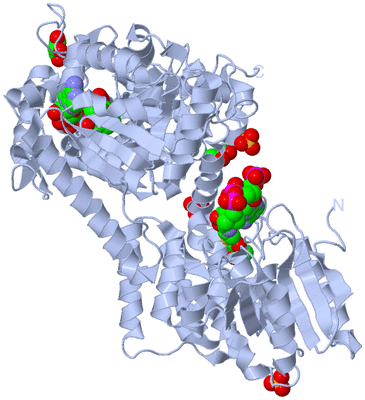 Image Biological Unit 1