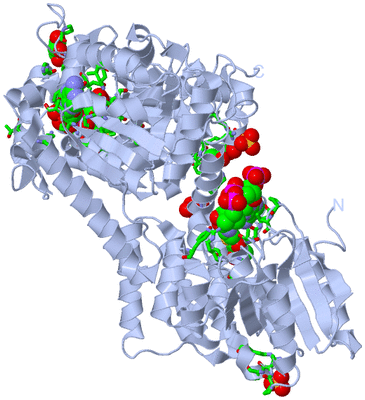 Image Biol. Unit 1 - sites