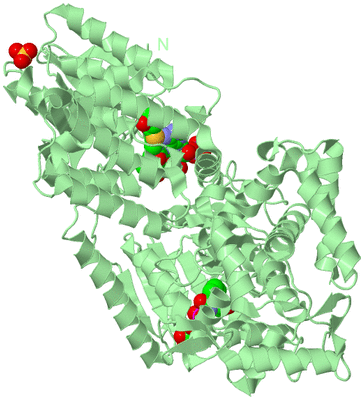 Image Biological Unit 2