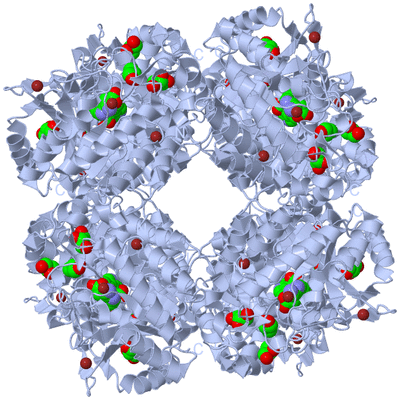 Image Biological Unit 1