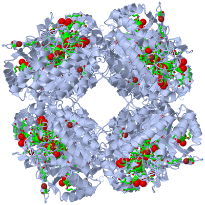 Image Biol. Unit 1 - sites