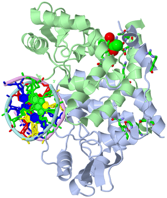 Image Asym./Biol. Unit - sites