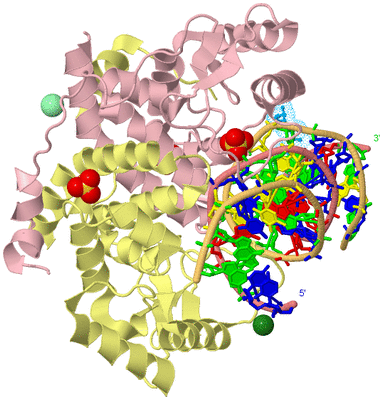 Image Biological Unit 1