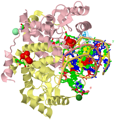 Image Biol. Unit 1 - sites