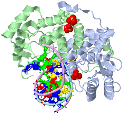 Image Biological Unit 2