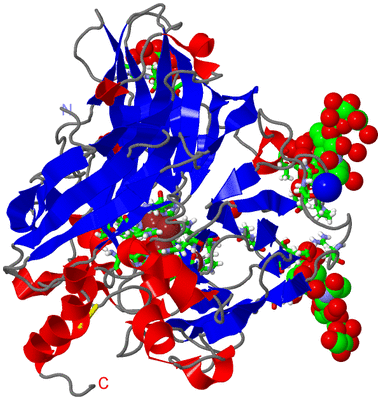 Image Asym./Biol. Unit - sites