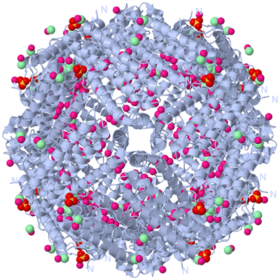 Image Biological Unit 1