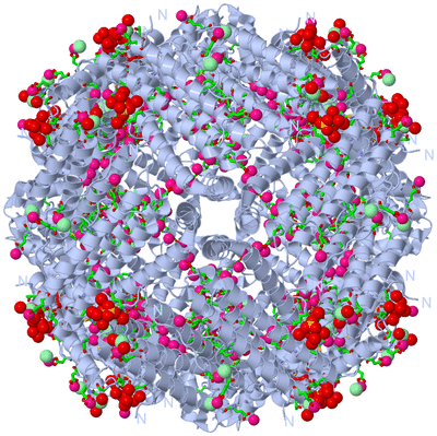 Image Biol. Unit 1 - sites