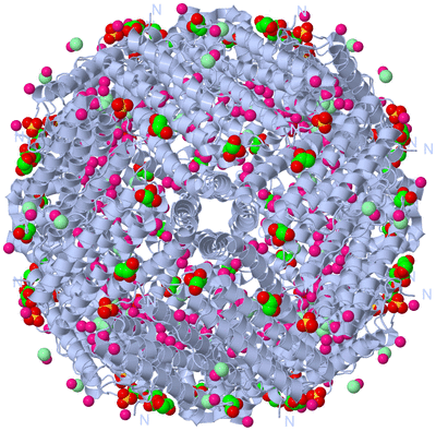 Image Biological Unit 1