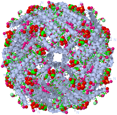 Image Biol. Unit 1 - sites