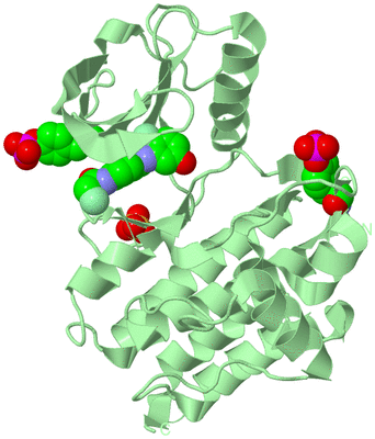 Image Biological Unit 2