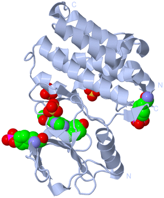 Image Biological Unit 1