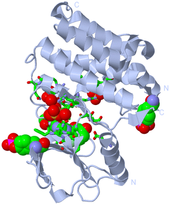 Image Biol. Unit 1 - sites