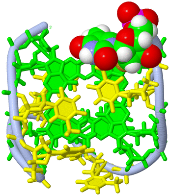 Image NMR Structure - model 1