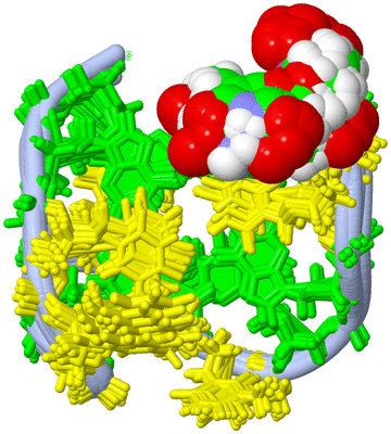 Image NMR Structure - all models