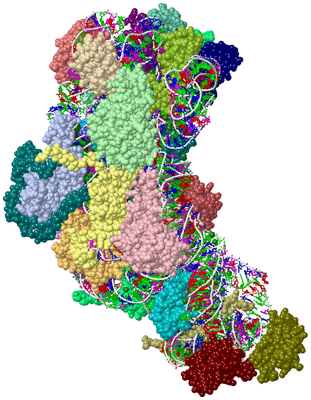 Image Asym./Biol. Unit