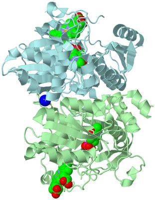 Image Biological Unit 3