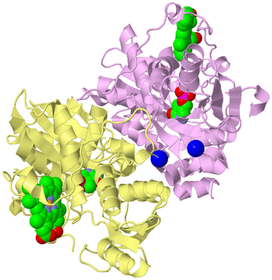 Image Biological Unit 4