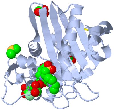 Image Biological Unit 1