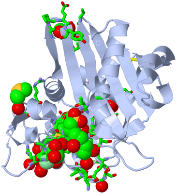 Image Biol. Unit 1 - sites