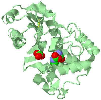 Image Biological Unit 2