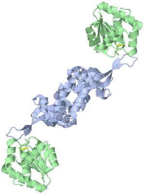 Image Biological Unit 1