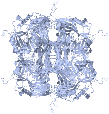 Image Biological Unit 1