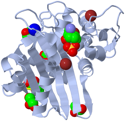 Image Biological Unit 1