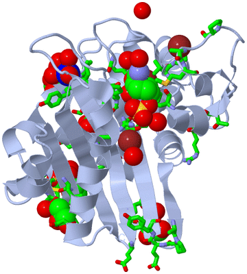 Image Biol. Unit 1 - sites