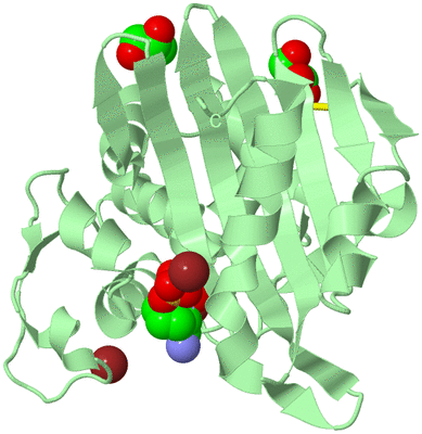 Image Biological Unit 2