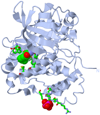 Image Biol. Unit 1 - sites