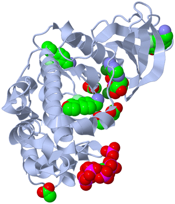 Image Biological Unit 1