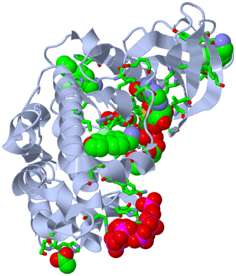 Image Biol. Unit 1 - sites