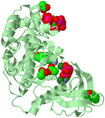 Image Biological Unit 2