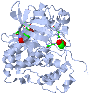 Image Biol. Unit 1 - sites