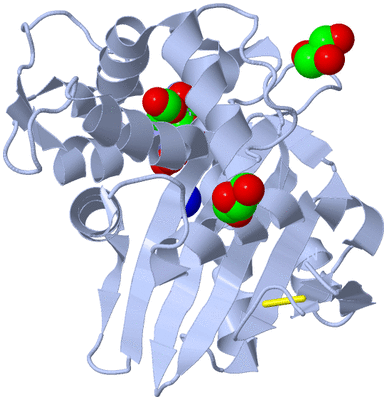 Image Biological Unit 1