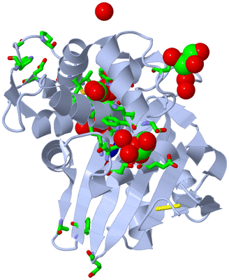 Image Biol. Unit 1 - sites